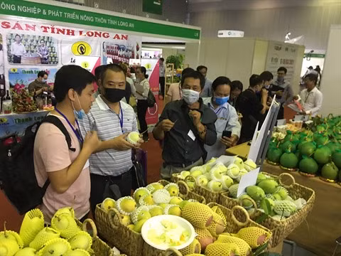  Fruits et légumes : la qualité et la sécurité sanitaire requises par l'EVFTA ảnh 2