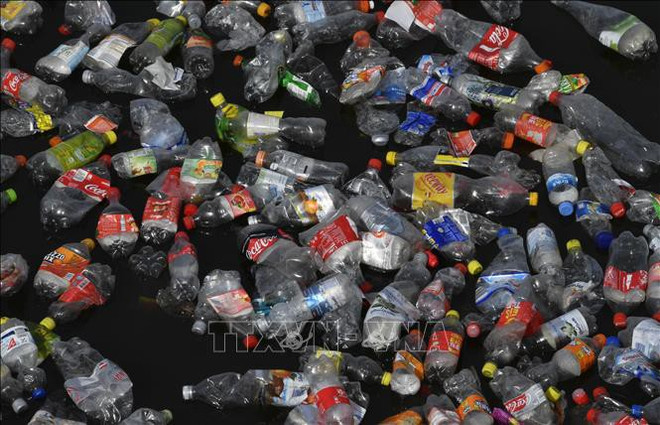 « Faire la paix avec la nature » : Une priorité absolue du 21e siècle ảnh 1 « Faire la paix avec la nature » : Une priorité absolue du 21e siècle ảnh 1