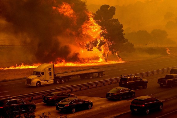 « Faire la paix avec la nature » : Une priorité absolue du 21e siècle ảnh 2 « Faire la paix avec la nature » : Une priorité absolue du 21e siècle ảnh 2