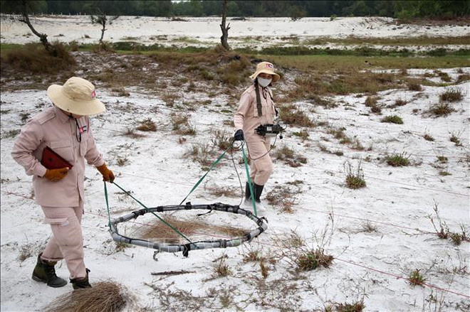 Quang Tri: déminage de près de 97 millions de mètres carrés de terrain ảnh 1 Quang Tri: déminage de près de 97 millions de mètres carrés de terrain ảnh 1