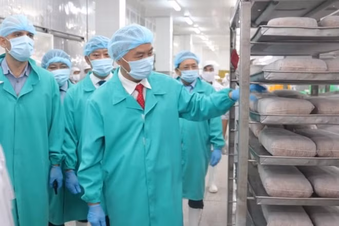 Le Vietnam travaille dur pour lutter contre la pêche INN ảnh 2