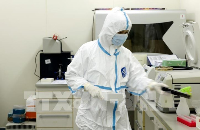 Le Vietnam reçoit de l'étranger des commandes de kits de dépistage du coronavirus ảnh 1 Le Vietnam reçoit de l'étranger des commandes de kits de dépistage du coronavirus ảnh 1