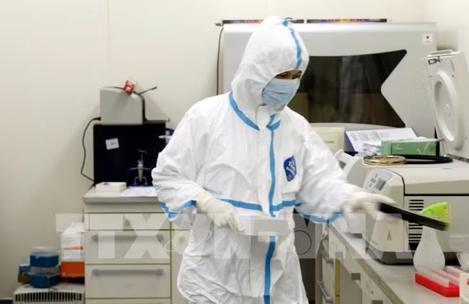 Le Vietnam reçoit de l'étranger des commandes de kits de dépistage du coronavirus ảnh 1