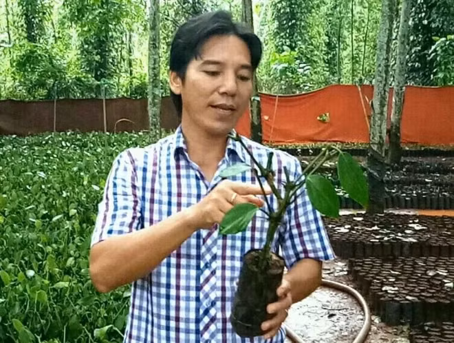 Bâu Mây, la marque vietnamienne de poivre la plus chère ảnh 1