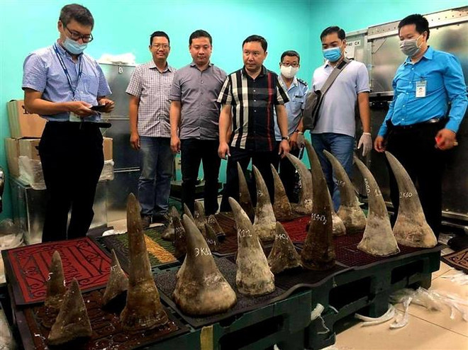 Découverte d’objets semblables à des cornes de rhinocéros à Tan Son Nhat ảnh 1 Découverte d’objets semblables à des cornes de rhinocéros à Tan Son Nhat ảnh 1