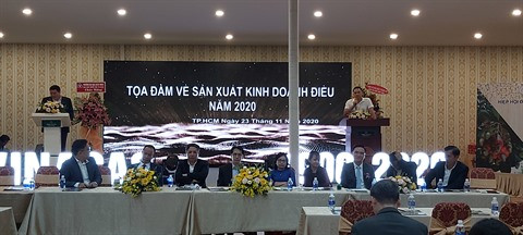 Plus de 31 milliards d'USD réalisés avec les exportations de noix de cajou ảnh 1 Plus de 31 milliards d'USD réalisés avec les exportations de noix de cajou ảnh 1