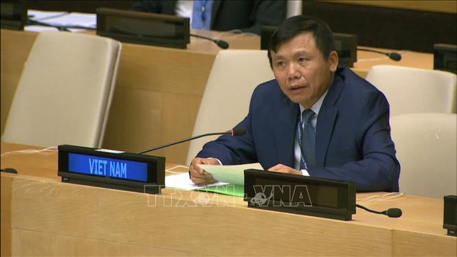 Le Vietnam appelle la communauté internationale à assister les Palestiniens ảnh 1 Le Vietnam appelle la communauté internationale à assister les Palestiniens ảnh 1