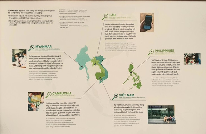 Un institut à la pointe de la recherche médicale ảnh 2