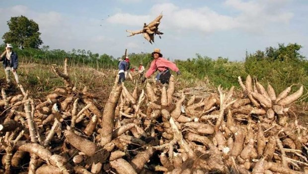 La BAD approuve 70 millions de dollars pour l’agriculture cambodgienne ảnh 1 La BAD approuve 70 millions de dollars pour l’agriculture cambodgienne ảnh 1
