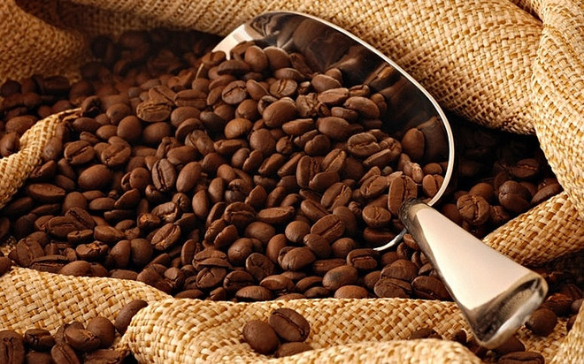 Large opportunité pour les exportations de café vers l’UE ảnh 1