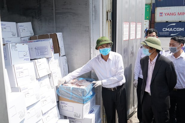 Le porc importé au Vietnam provient de quel marché ? ảnh 2 Le porc importé au Vietnam provient de quel marché ? ảnh 2