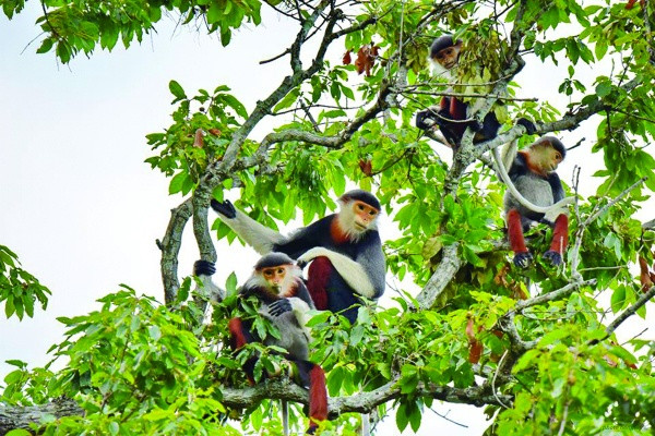 Biodiversité : élaboration d’un plan pour la période 2021-2030 ảnh 1