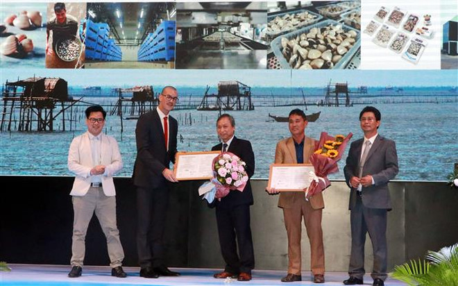 Lenger Farm, la première unité au monde à recevoir le label ASC pour les élevages de Meretrix Lyrata ảnh 1 Lenger Farm, la première unité au monde à recevoir le label ASC pour les élevages de Meretrix Lyrata ảnh 1