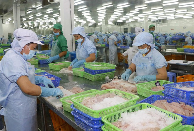 Le poisson tra vietnamien domine toujours sur le marché chinois ảnh 1 Le poisson tra vietnamien domine toujours sur le marché chinois ảnh 1