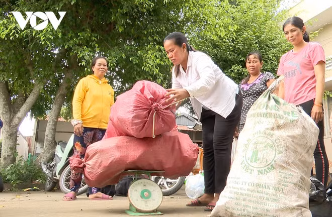 Le tri des déchets à Soc Trang: une source de revenus ảnh 1