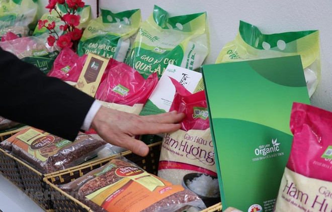 COVID-19 : les PME se heurtent à des problèmes relatifs aux flux de trésorerie ảnh 1 COVID-19 : les PME se heurtent à des problèmes relatifs aux flux de trésorerie ảnh 1