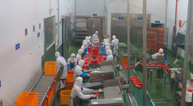 Pour mieux connaître l’EVFTA ảnh 1 Pour mieux connaître l’EVFTA ảnh 1