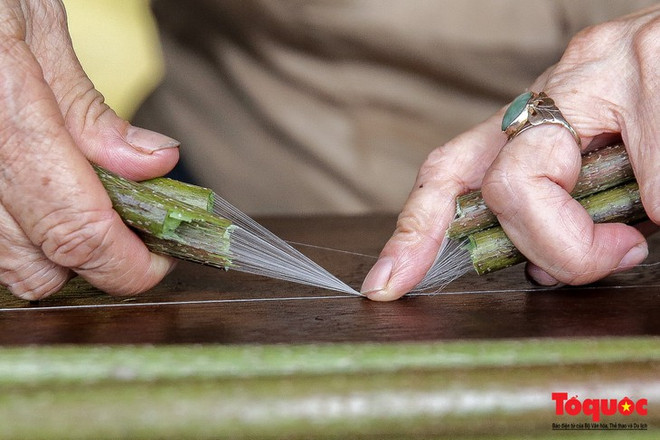 L’extraordinaire soie de lotus vietnamienne ảnh 3 L’extraordinaire soie de lotus vietnamienne ảnh 3