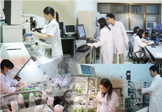 Catalyser le développement des incubateurs technologiques ảnh 1 Catalyser le développement des incubateurs technologiques ảnh 1