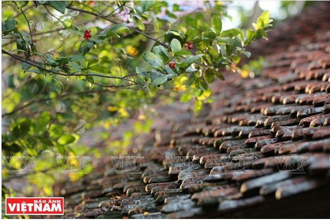 La maison la plus ancienne de Duong Lâm dans la force de l’âge ảnh 3 La maison la plus ancienne de Duong Lâm dans la force de l’âge ảnh 3