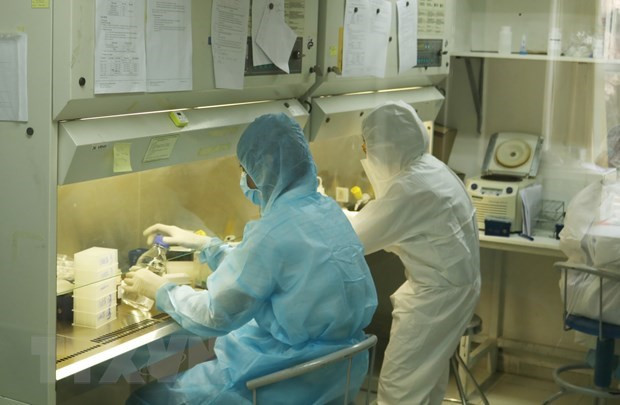 Coronavirus : un patient subit une rechute, aucun nouveau cas en 14 jours ảnh 1 Coronavirus : un patient subit une rechute, aucun nouveau cas en 14 jours ảnh 1