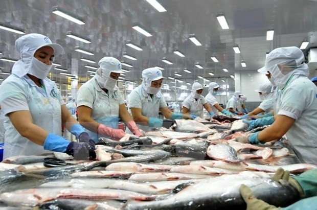 Les États-Unis réduisent les taxes antidumping sur les produits de poisson tra vietnamiens ảnh 1 Les États-Unis réduisent les taxes antidumping sur les produits de poisson tra vietnamiens ảnh 1