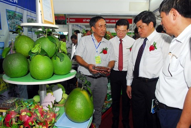 La foire internationale de l’agriculture 2018 se déroulera fin juin à Da Nang ảnh 1 La foire internationale de l’agriculture 2018 se déroulera fin juin à Da Nang ảnh 1