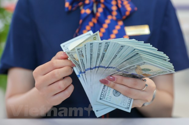 Les envois de fonds renforcent la solidité financière du Vietnam ảnh 1 Les envois de fonds renforcent la solidité financière du Vietnam ảnh 1