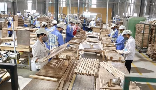 La filière bois vise 25 milliards de dollars d’exportations d’ici 2030 ảnh 1