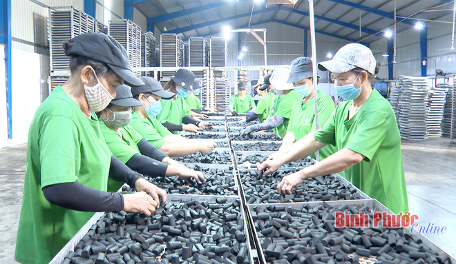 Croissance économique: Binh Phuoc au premier rang de la région du Sud-Est ảnh 1 Croissance économique: Binh Phuoc au premier rang de la région du Sud-Est ảnh 1