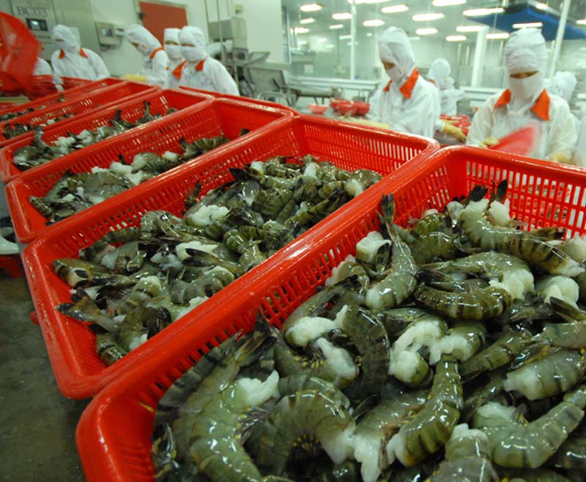 La filière crevetticole doit redoubler d’efforts en 2023 ảnh 2 La filière crevetticole doit redoubler d’efforts en 2023 ảnh 2
