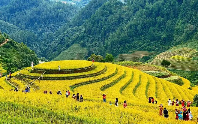 Efforts de faire des rizières en terrasses au Nord-Ouest une spécialité touristique régionale ảnh 2 Efforts de faire des rizières en terrasses au Nord-Ouest une spécialité touristique régionale ảnh 2