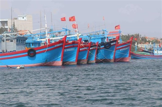 Un an après, le Vietnam espère la suppression du « carton jaune » donné par la Commission européenne à propos de la pêche INN ảnh 1 Un an après, le Vietnam espère la suppression du « carton jaune » donné par la Commission européenne à propos de la pêche INN ảnh 1