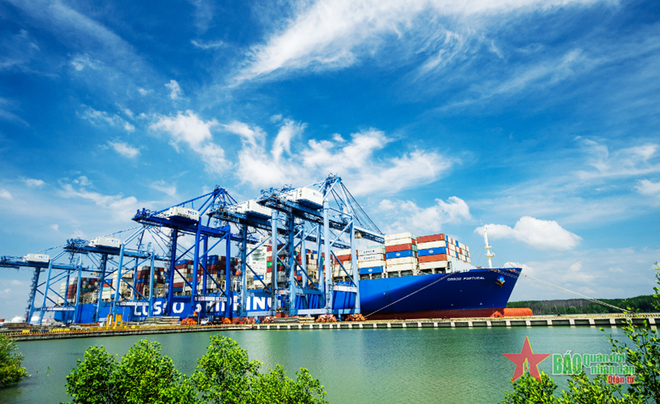 Construire des ports verts et intelligents pour un développement durable ảnh 2 Construire des ports verts et intelligents pour un développement durable ảnh 2