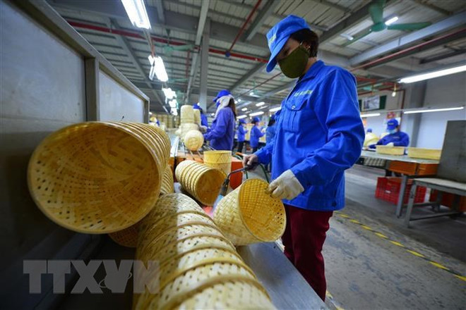 OIT : Le Vietnam fait de grands efforts pour limiter les impacts du COVID-19 ảnh 3 OIT : Le Vietnam fait de grands efforts pour limiter les impacts du COVID-19 ảnh 3