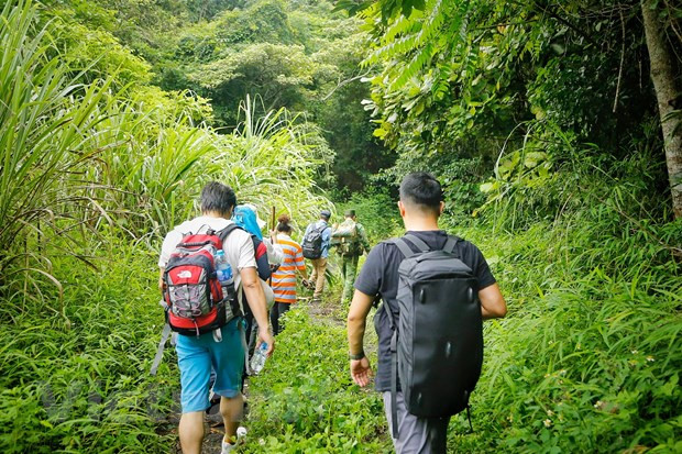 Le Vietnam prêt à accueillir de nouveau les visiteurs chinois ảnh 2 Le Vietnam prêt à accueillir de nouveau les visiteurs chinois ảnh 2