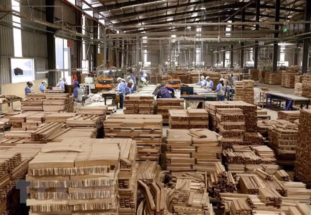 La filière bois vise 25 milliards de dollars d’exportations d’ici 2030 ảnh 2