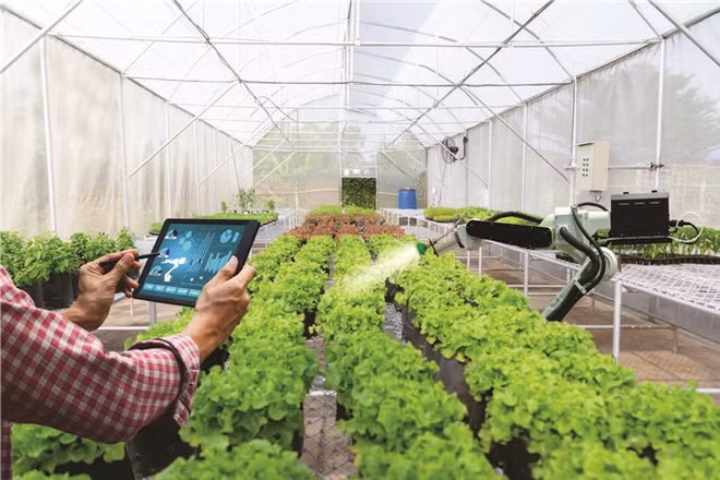 Bac Giang développe la transformation numérique dans l’édification de la Nouvelle Ruralité ảnh 2