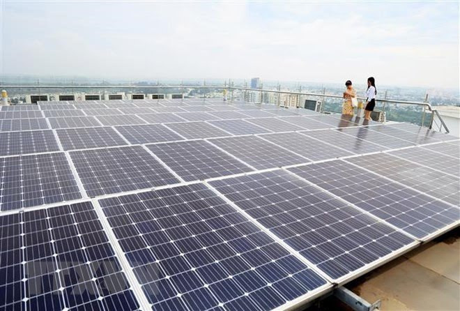 Le Vietnam aspire à une transition verte pour le développement durable ảnh 1