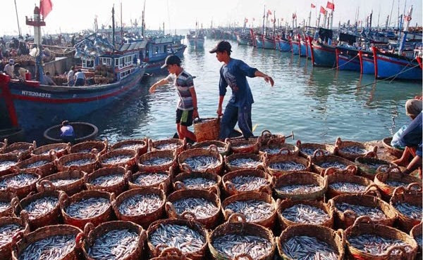 Un an après, le Vietnam espère la suppression du « carton jaune » donné par la Commission européenne à propos de la pêche INN ảnh 2 Un an après, le Vietnam espère la suppression du « carton jaune » donné par la Commission européenne à propos de la pêche INN ảnh 2