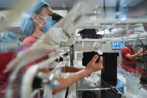 Célébration des 25 ans de la naissance de premiers bébés issus de FIV au Vietnam ảnh 2 Célébration des 25 ans de la naissance de premiers bébés issus de FIV au Vietnam ảnh 2