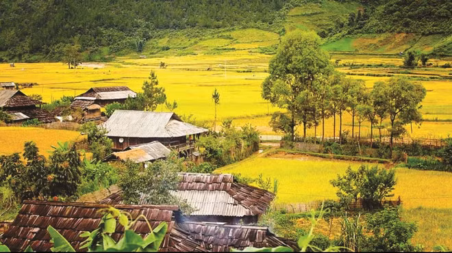 Aides pour les minorités ethniques dans la construction de logements ảnh 1