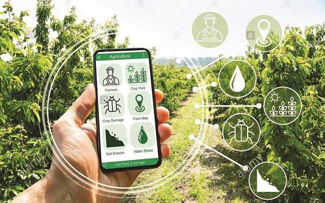 Bac Giang développe la transformation numérique dans l’édification de la Nouvelle Ruralité ảnh 1 Bac Giang développe la transformation numérique dans l’édification de la Nouvelle Ruralité ảnh 1