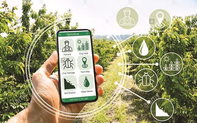 Bac Giang développe la transformation numérique dans l’édification de la Nouvelle Ruralité ảnh 1