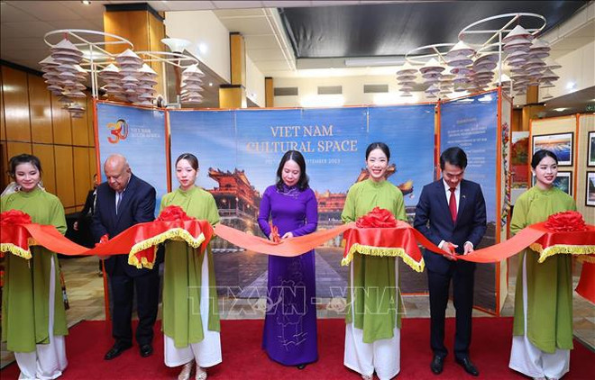 Activités de la vice-présidente vietnamienne Vo Thi Anh Xuan en Afrique du Sud ảnh 4 Activités de la vice-présidente vietnamienne Vo Thi Anh Xuan en Afrique du Sud ảnh 4