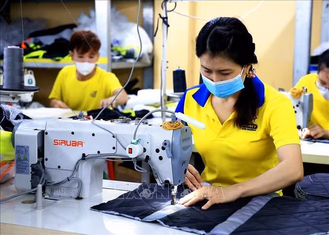 Textile-habillement : nécessité de la transformation numérique et de l’économie circulaire ảnh 2