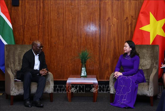 Activités de la vice-présidente vietnamienne Vo Thi Anh Xuan en Afrique du Sud ảnh 2 Activités de la vice-présidente vietnamienne Vo Thi Anh Xuan en Afrique du Sud ảnh 2