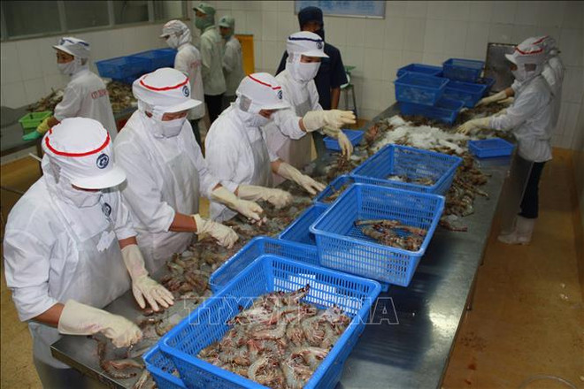 Bac Lieu: les exportations peuvent rapporter cette année un milliard de dollars ảnh 1