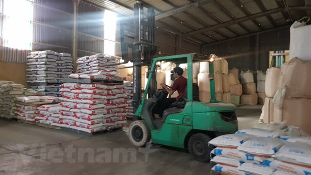 Les envois de fonds renforcent la solidité financière du Vietnam ảnh 3 Les envois de fonds renforcent la solidité financière du Vietnam ảnh 3