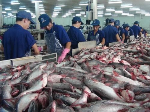 Le Vietnam exporte 518 millions de dollars de produits aquatiques en janvier ảnh 1 Le Vietnam exporte 518 millions de dollars de produits aquatiques en janvier ảnh 1